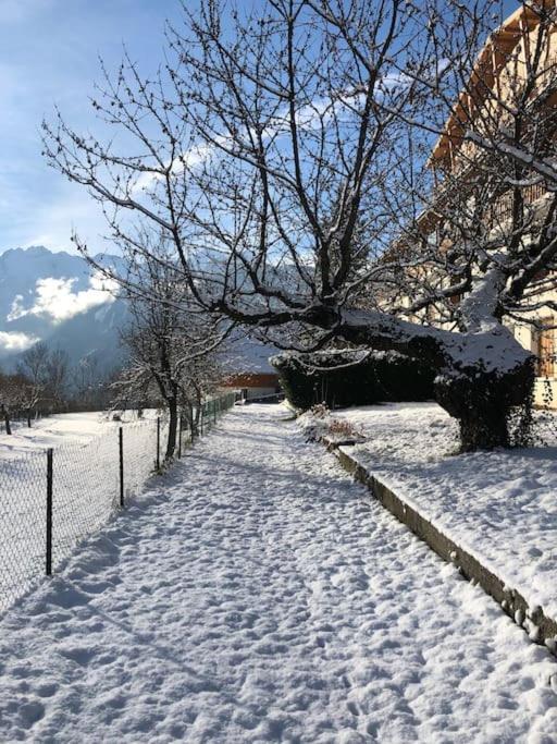 Appartement Rez De Jardin Montee De L'Alpe D'Huez La Garde  Kültér fotó