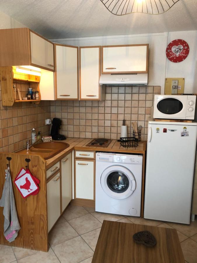Appartement Rez De Jardin Montee De L'Alpe D'Huez La Garde  Kültér fotó