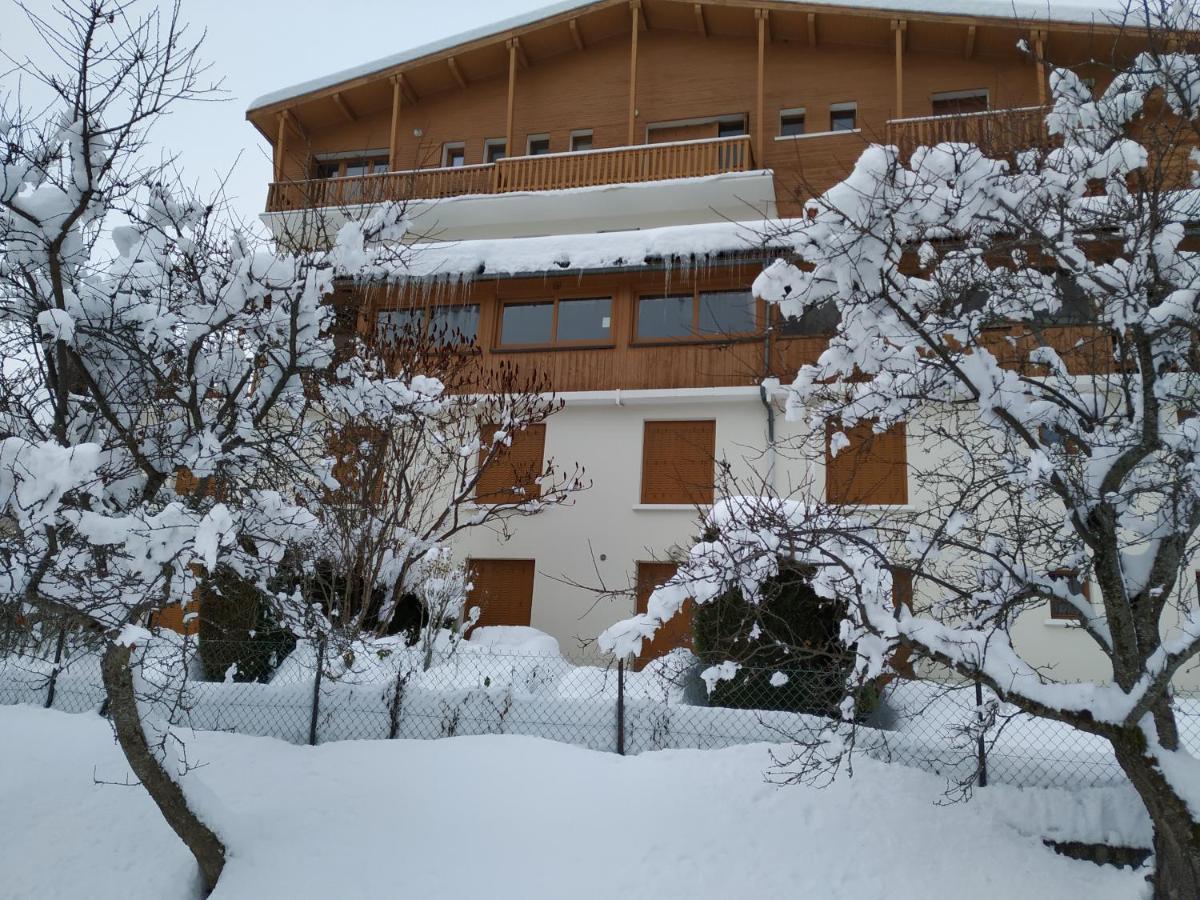 Appartement Rez De Jardin Montee De L'Alpe D'Huez La Garde  Kültér fotó